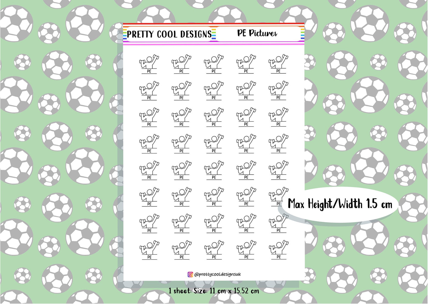 PE Subject Teacher Student Planner Stickers UK - 1 Sheet
