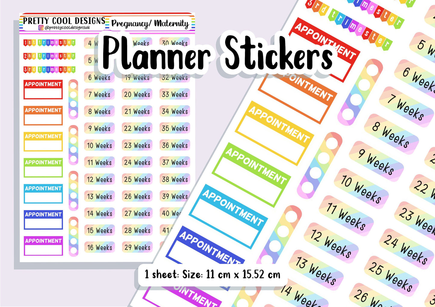 Pregnancy Maternity Family Appointment and Tracker Personal Bujo Diary Planner Stickers UK - 1 Sheet