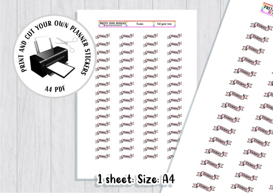 Download Printable Planner Stickers Exams Student Teacher Pupil Home Learning PDF Print and Cut DIY