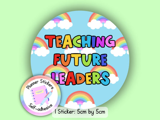 Teaching Future Leaders Rainbow Teacher Teaching Assistant Senco Sendco ECT Sticker (NOT WATERPROOF)