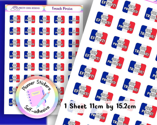 French Well Done Praise Stickers for Children Teachers Educators